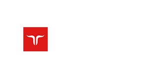 Jetbull Casino